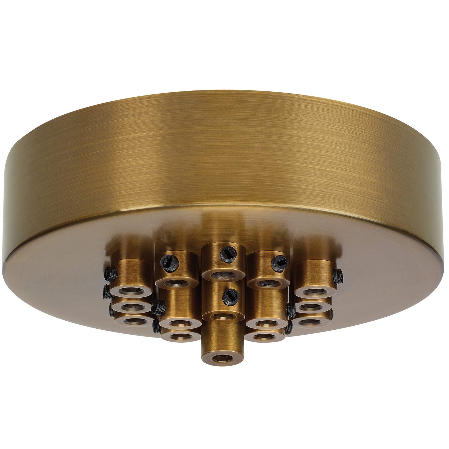 Visual Comfort Architectural 700TDMRD19TR Modern Line-Voltage Mini Canopy 19 Port Round - Finish: Natural Brass