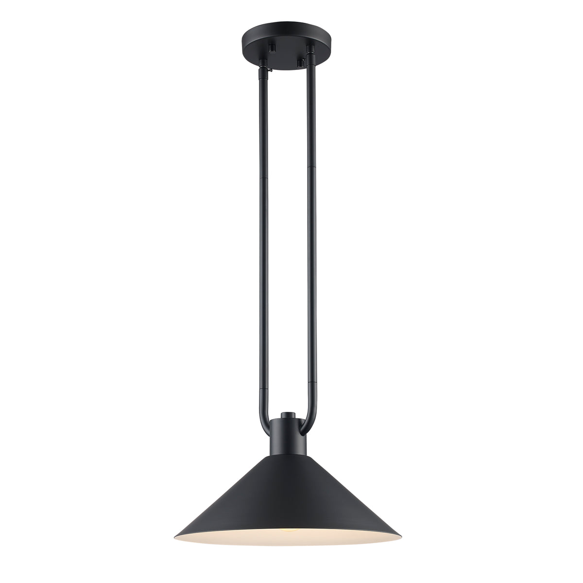 Trans Globe Lighting 11761 BK Roscoe 1 Light 12 inch Black Pendant Ceiling Light angle view