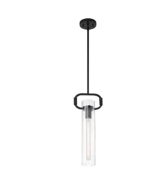 Nuvo 60-7153 Teresa Series Pendant Light w/ Clear Glass, Wattage 60W, Matte Black