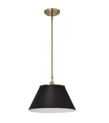 Nuvo 60-7411 Dover Pendant Light, Wattage 60W, Voltage 110V, Black/Vintage Brass, Medium