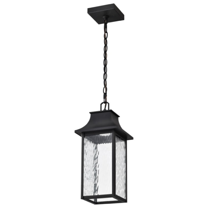 Nuvo 62-5996 AUSTEN Smart Starfish LED Hanging Lantern, RGBTW, Voltage 120V, Matte Black / Clear Water Glass