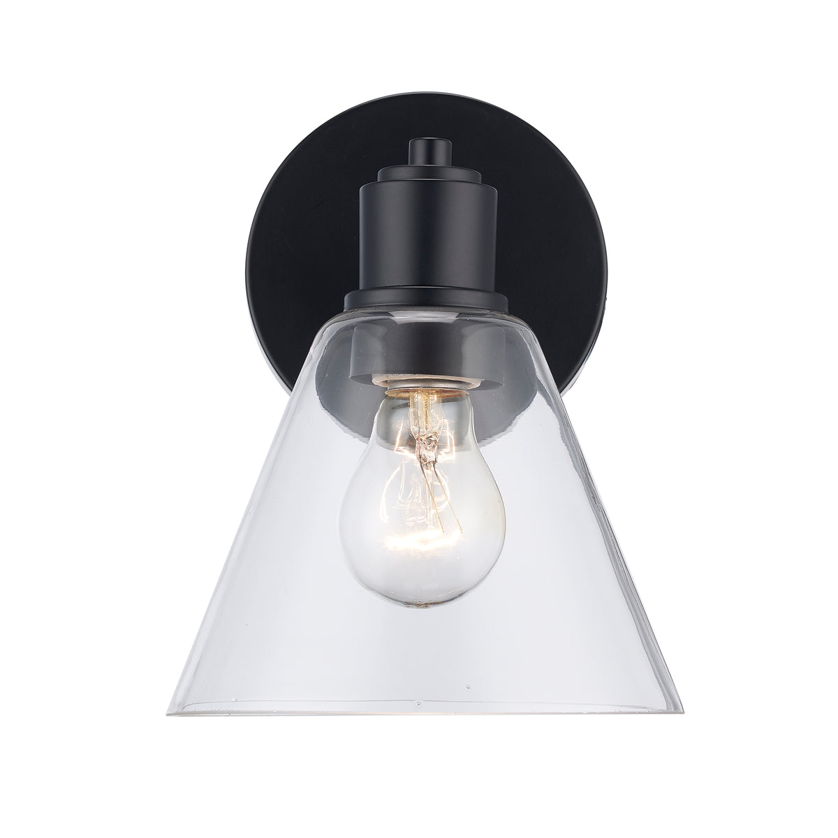 Trans Globe Lighting 22591 BK-CL ForgeLume black wall sconce with clear glass shade