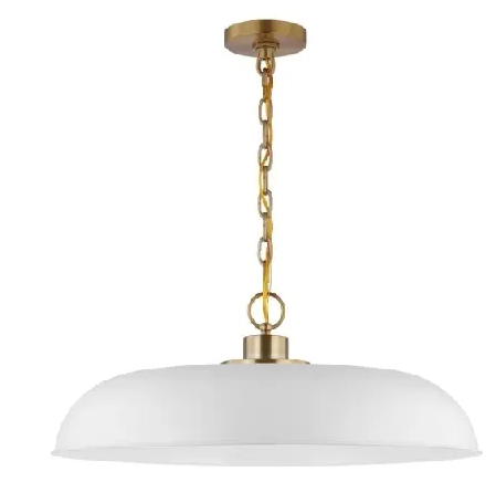 Nuvo 60-7486 Colony Pendant, 1 Light, Wattage 100W, Voltage 120V, White/Burnished Brass, Large