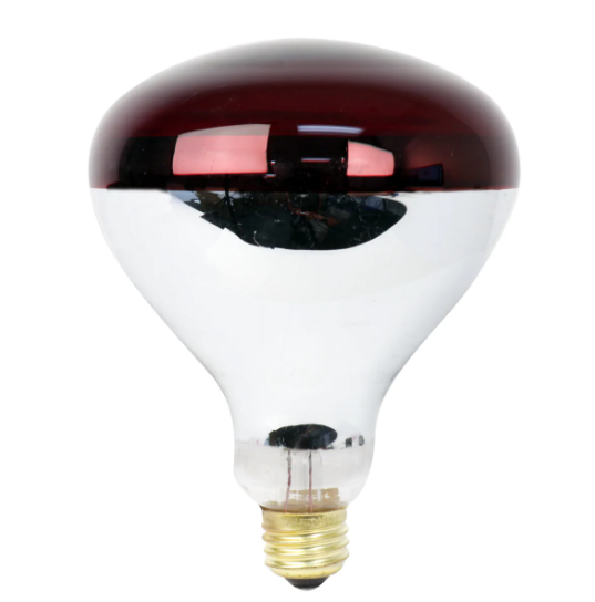 Feit Electric 250R40/R/HDRP Dimmable Incandescent Heat Lamp Reflector Blub, Color Temperature 2700K, Wattage 250W, Voltage 120V, Red Finish