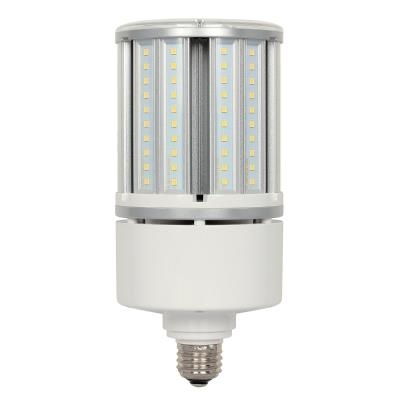 Westinghouse Lighting 3516200 T30 LED light bulb