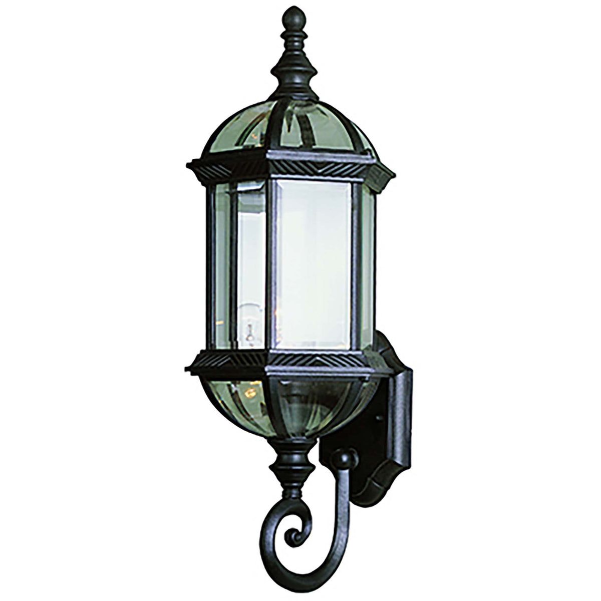 Trans Globe Lighting 4180 BK Wentworth black wall lantern