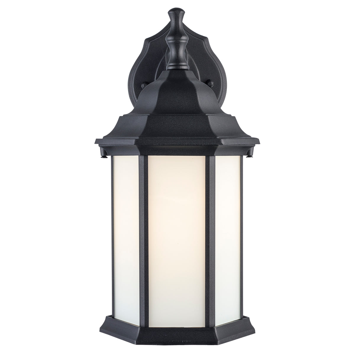 Trans Globe Lighting 4349 BK-FR Cumberland black outdoor wall lantern front view