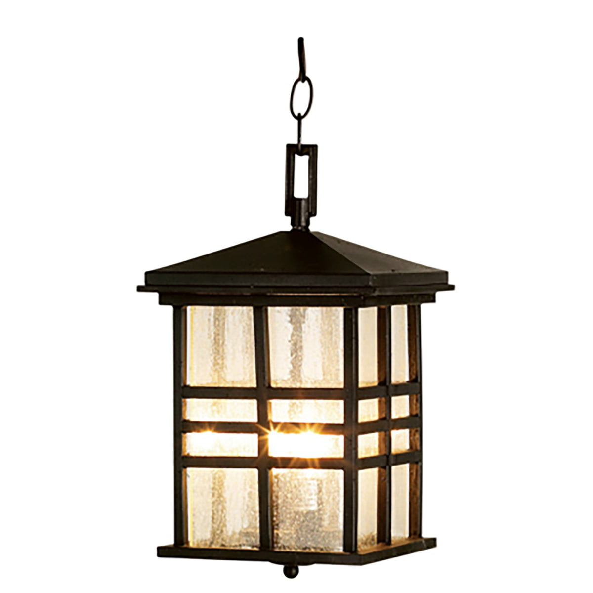 Trans Globe Lighting 4638 BK Huntington outdoor hanging lantern in black with seeded glass
