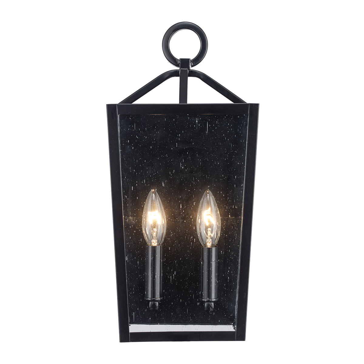 Trans Globe Lighting 51761 BK Felicity 2 Light Black Wall Lantern front view