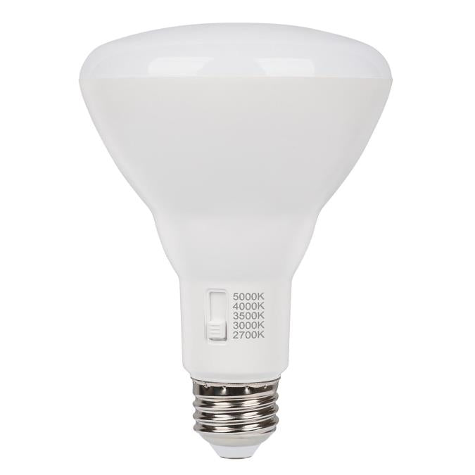 Westinghouse Lighting 5349000 BR30 LED light bulb front view