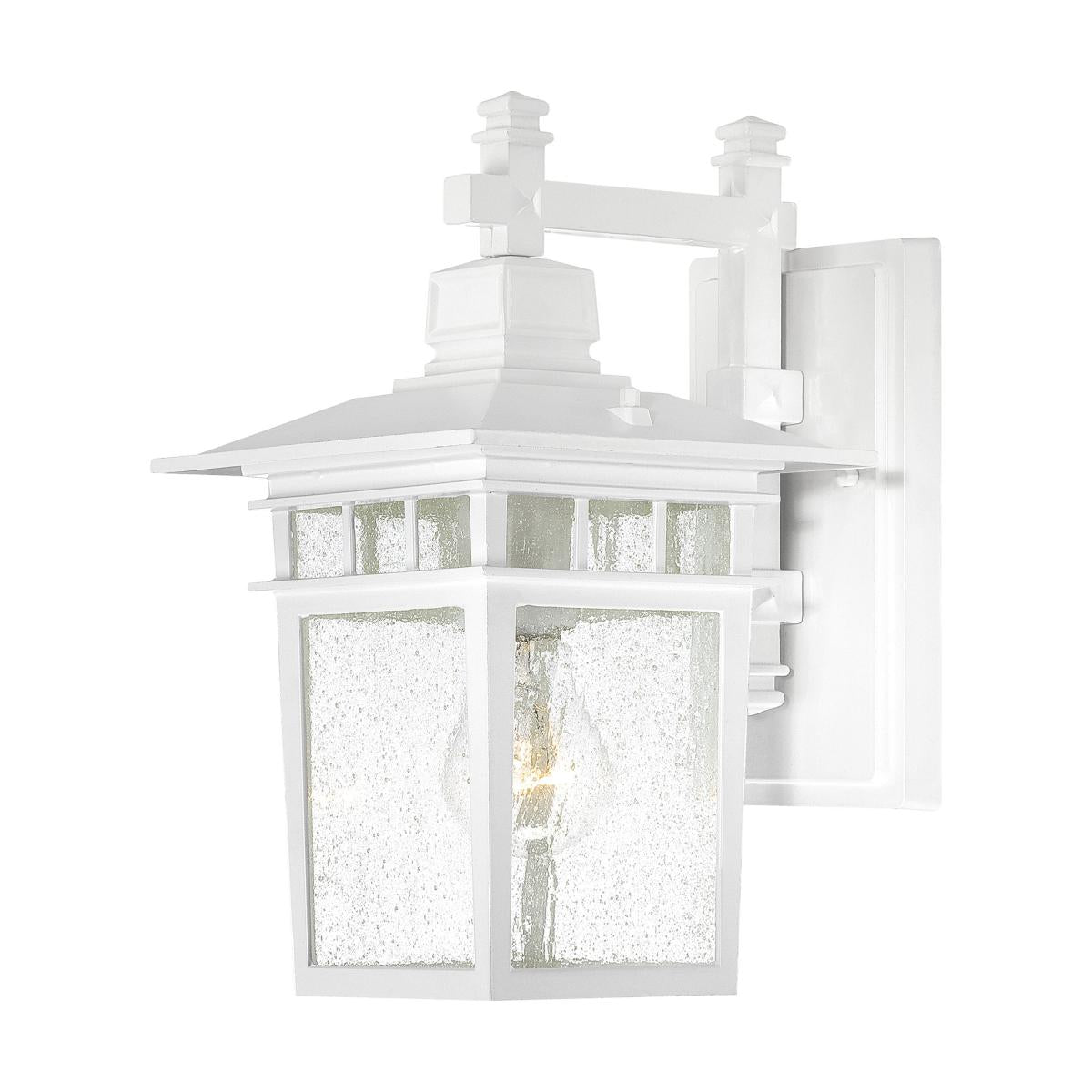 Nuvo 60-4951 Cove Neck 1-Light 12" Wall Lantern, 100W Max, 120V, Clear Seeded Glass, White Finish
