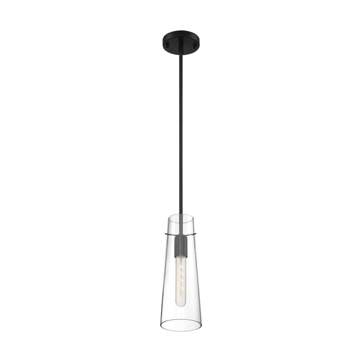 Nuvo 60-6880 Alondra 1 Light Mini Pendant – Clear Glass, Black Finish, 60W Max, 120V
