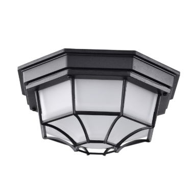 Nuvo 62-1400 LED Spider Cage Fixture; Black Finish with Frosted Glass