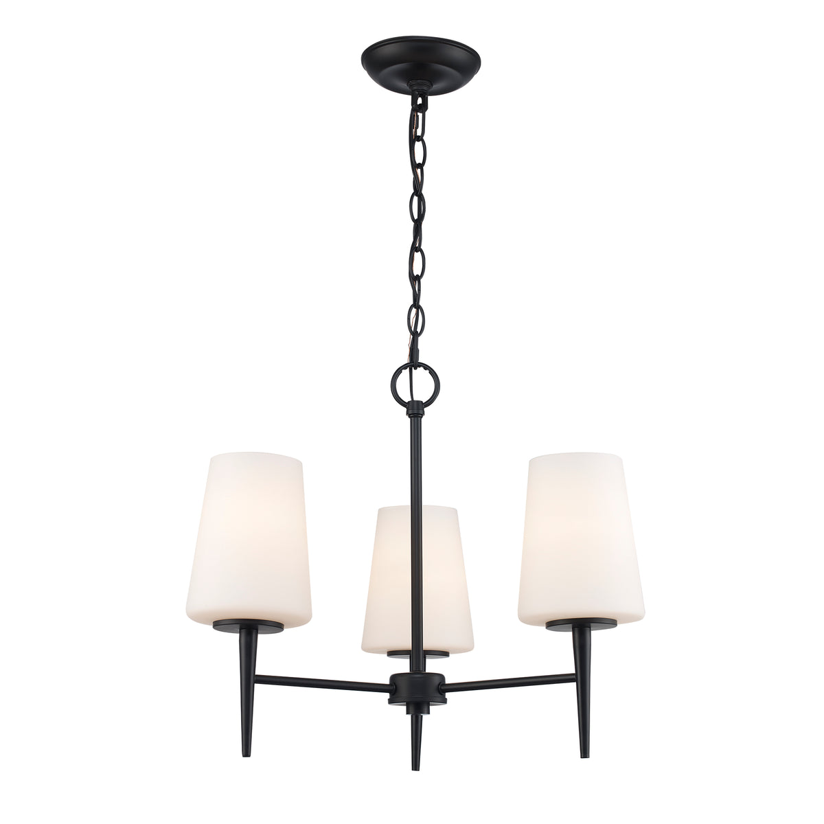 Trans Globe Lighting 71895 BK black chandelier ceiling light