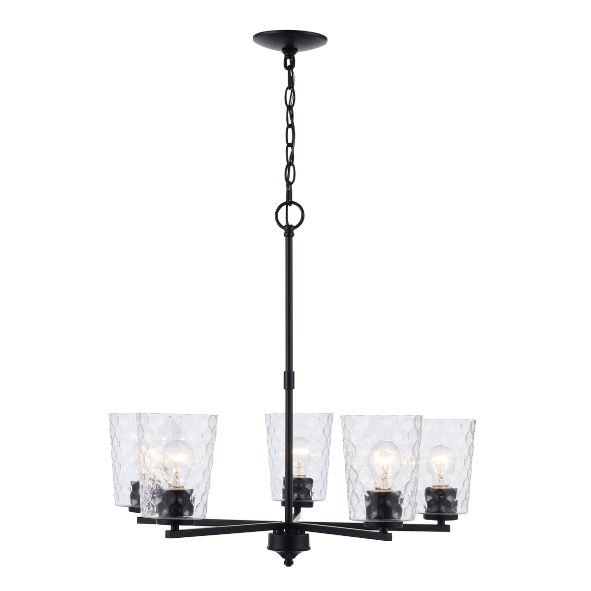 Trans Globe Lighting 71975 BK Marina 5 light black pendant ceiling light