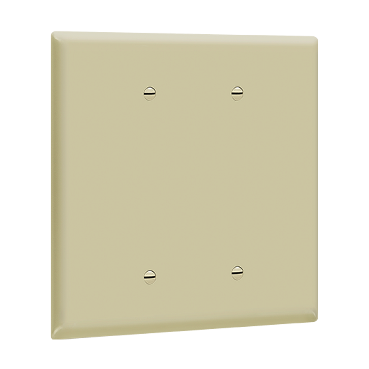 Enerlites 8802O-I Unbreakable Poly Carbonate Thermoplastic Wall Plate 2-Gang Blank Oversize Cover