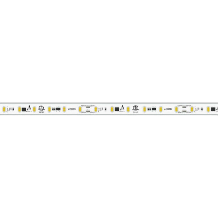 Alloy LED AL-11-06-A-42-164 PowerLine 400 Plug-In LED Tape Light - 164FT Reel - CCT 4200K - 4W / FT - 383 Lumens / FT - 120V