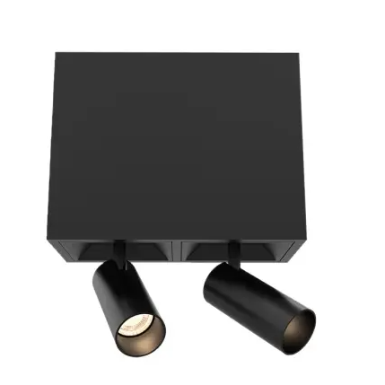 Eurofase Lighting BVOS201STST1540 30W Bravo LED, Spot, 2-Light, 120V-277V, 4000K, Black