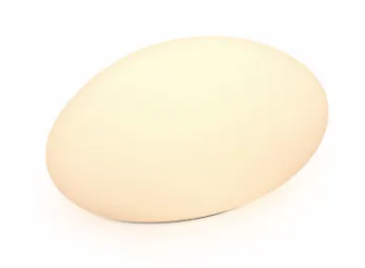 DALS Lighting DCP-RK18 Single Kayu 15" Wide 24V LED Flood Light