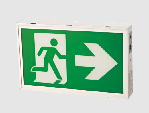 Eiko ES2-RM1SC2U-3 Steel RM Exit Sign, Wattage 2W, Voltage 120-347V UDC, 6-24VDC