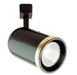 ELCO Lighting ET671W Round Back Cylinder w/Gold Ring PAR30 White Finish