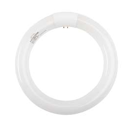 Keystone KTL-FC8T9-CW-DP FC8T9, 4100K, 60 CRI, Circline Lamps, T9 Circular Fluorescent Lamps