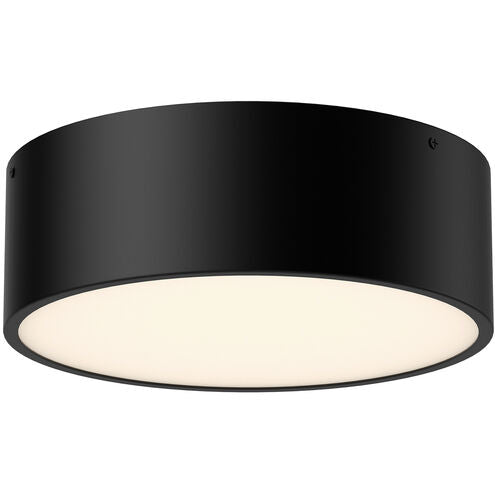 Alora Mood FM556012MB Brisbane 2 Light 12 inch Matte Black Flush Mount Ceiling Light