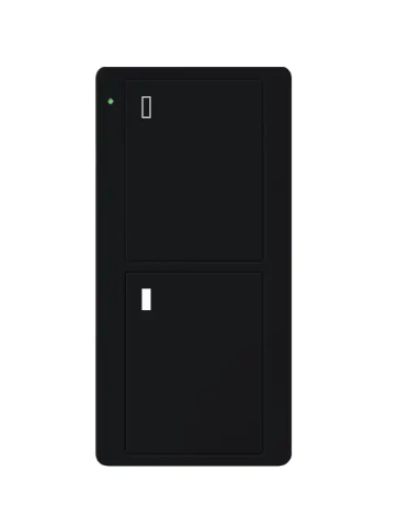 Lutron PJ2-2B-GBL-L02 2-Button Pico Smart Remote - Appliance Icons - Black Finish