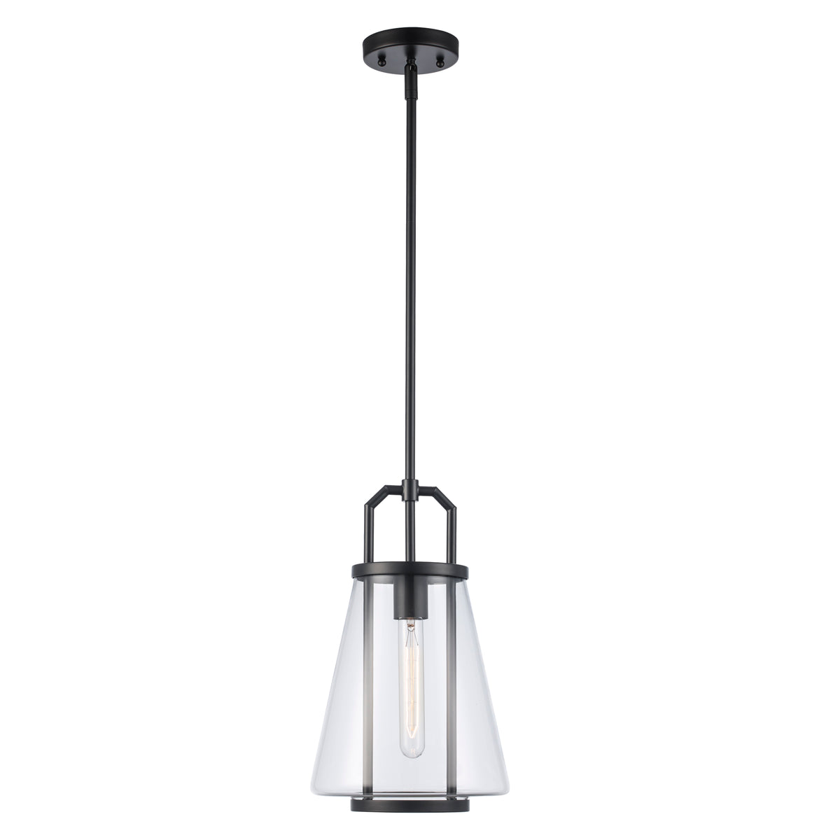 Trans Globe Lighting PND-2232 BK Rhapsody black pendant ceiling light