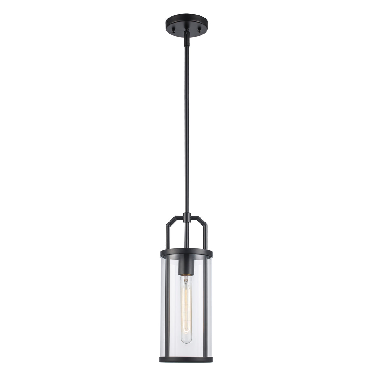 Trans Globe Lighting PND-2234 BK Rhapsody black pendant ceiling light