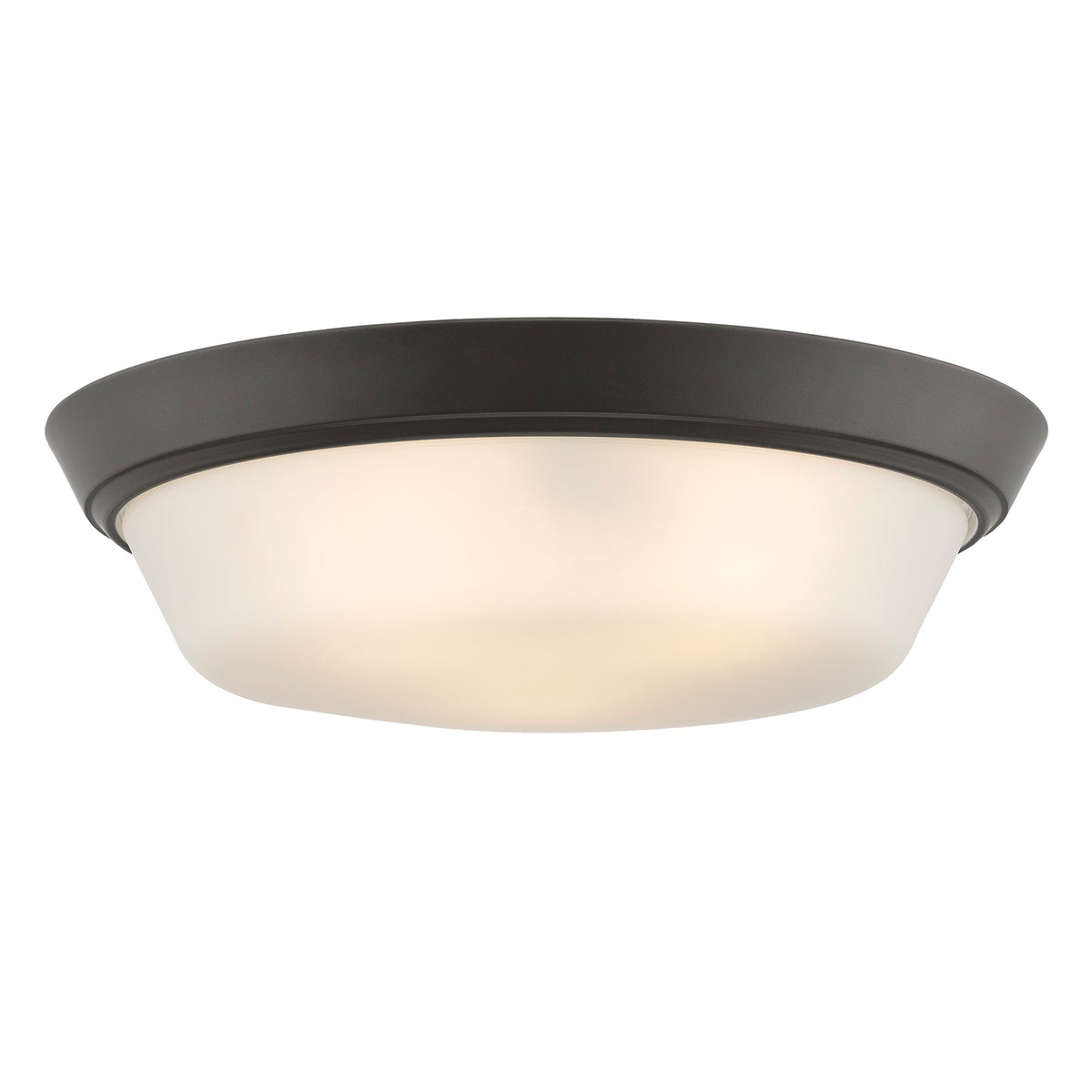 Progress Lighting P350304-020 Edessa illuminated flush mount ceiling light