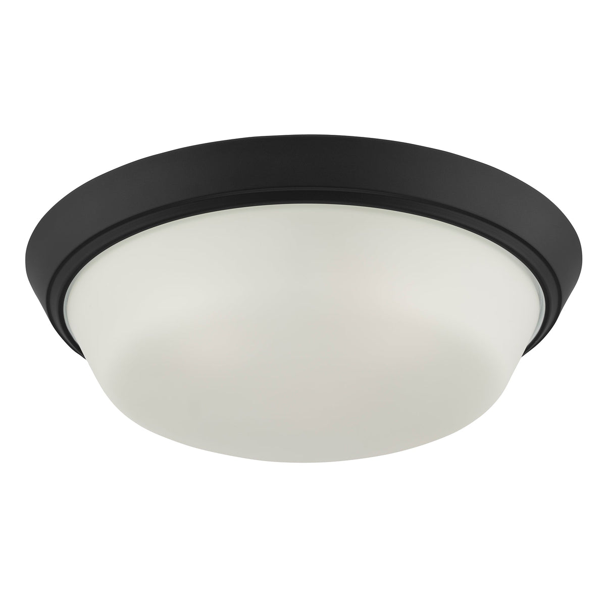 Progress Lighting P350304-031 Edessa Black flush mount ceiling light close-up