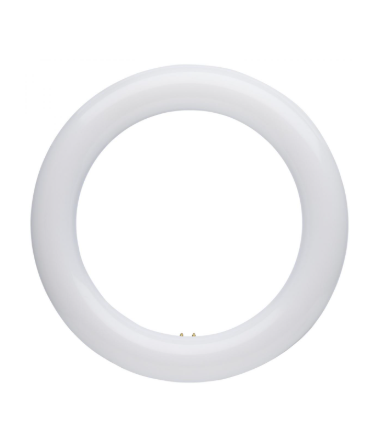 SATCO S16510 LED Circline; 11 Watt; T9; 3000K/4000K/6500K CCT Selectable; G10q Base; 120-277 Volt Circle Light