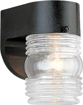 Generation Lighting 8750-12 Jelly Jar black outdoor wall light