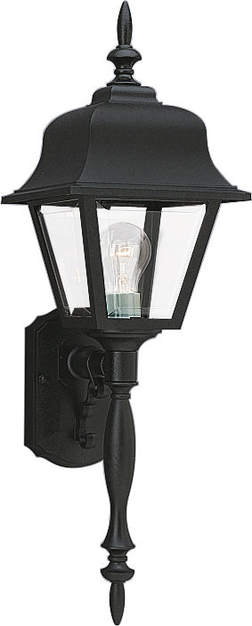 Generation Lighting 8765-12 Polycarbonate Outdoor black outdoor wall lantern