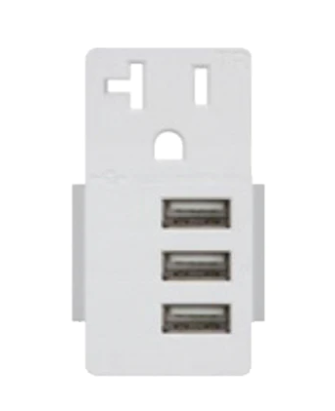 Enerlites USB20L3-W Interchangeable Replacement USB Outlet Module White Finish