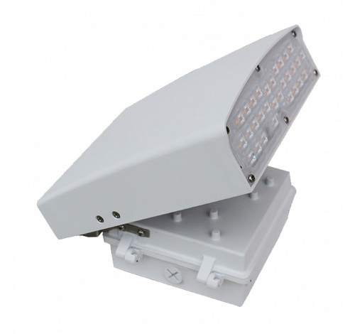 Westgate 50W Medium Adjustable White Led Wall Pack Cutoff 120~277V AC - BuyRite Electric
