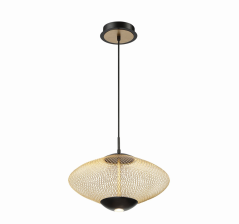 Eurofase Lighting 37106-010 LED Park 14 inch Pendant Ceiling Light Small Black Finish