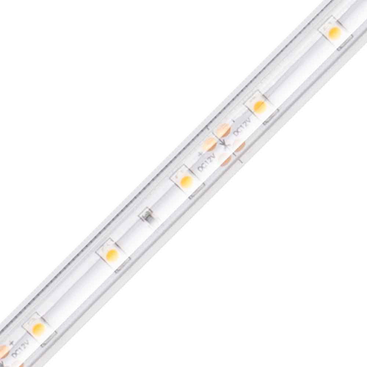 Diode LED DI-12V-BLBSC1-30-W016 Blaze Basics Wet Location 16.4 ft LED Tape Light, 100+ Lumens, Color temperature 3000K, 12V