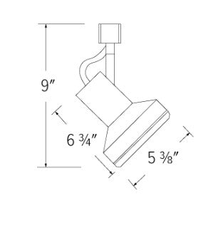 Elco Lighting ET696G 120V Line Voltage Par Classic Track Fixture, Gold Finish