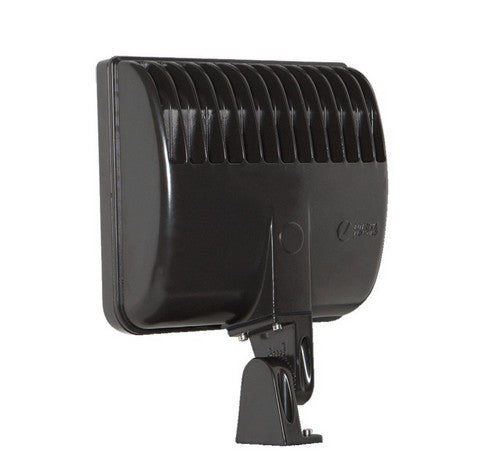 Lithonia Lighting DSXF1 D-Series 41W LED Outdoor Flood Light - BuyRite Electric