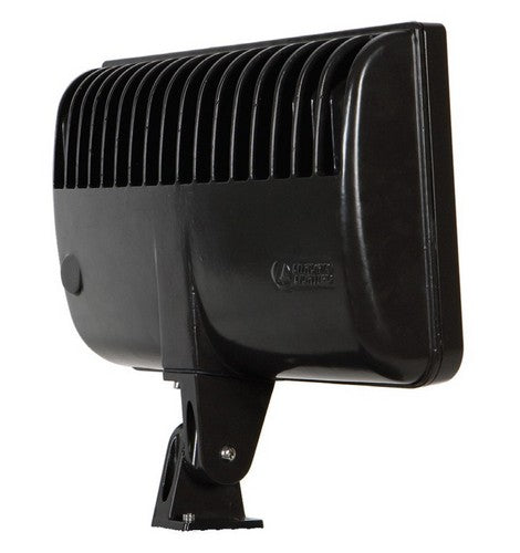 Lithonia Lighting DSXF2 D-Series 58W LED Outdoor Flood Light- BuyRite Electric