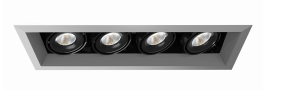Eurofase Lighting TE164ALED-40-2-0N LED 60W Linear Multiple Recessed Light Platinum/Black Finish
