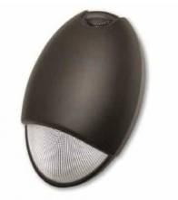 Dark bronze oval-shaped LED emergency unit with a prismatic lens and die-cast aluminum housing.
