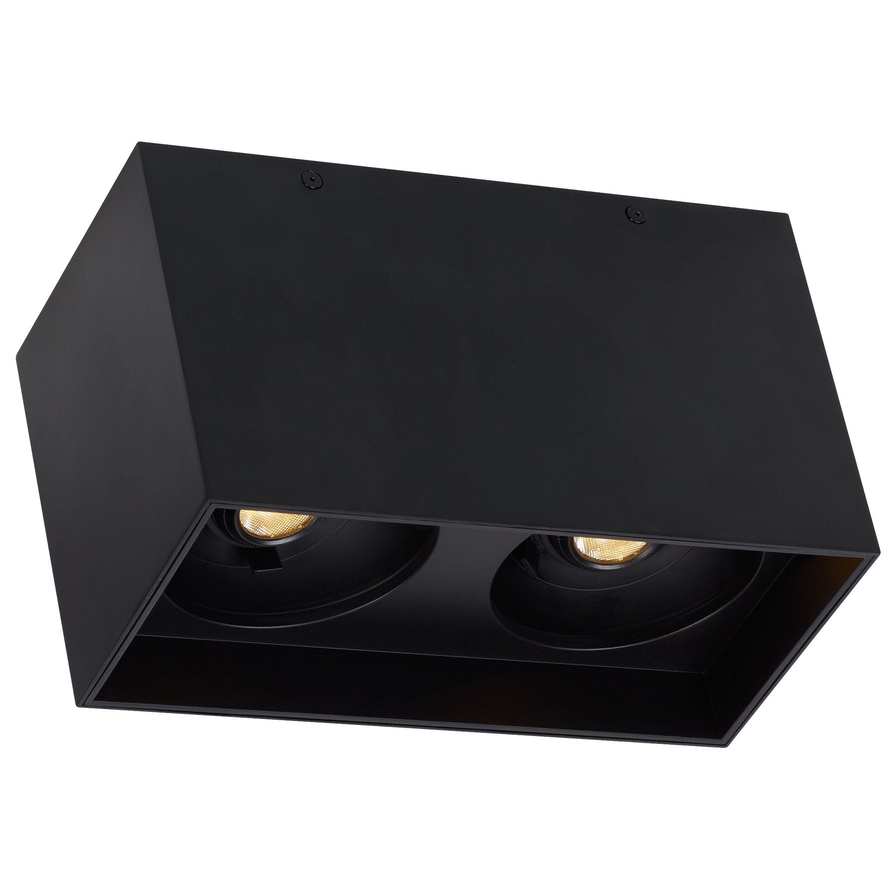 Visual Comfort Architectural 700FMEXOD630BB-LED935 Exo Dual Ceiling Light, Color Temperature 3500K, Beam Angle 30°, Matte Black / Black Finish