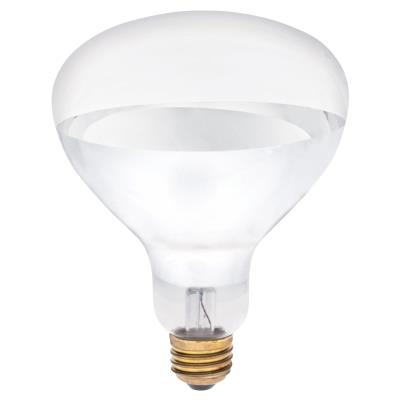 Westinghouse Lighting 0391500 375 Watt R40 Clear Incandescent Light Bulb