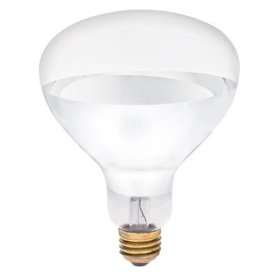 Westinghouse Lighting 0391600 250 Watt R40 clear incandescent light bulb