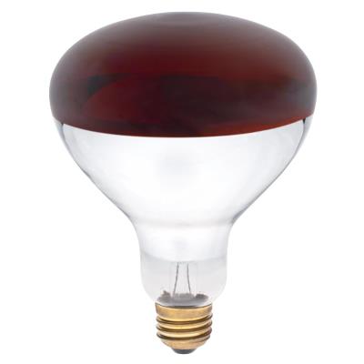 Westinghouse Lighting 0391700 250 Watt R40 Red Incandescent Light Bulb