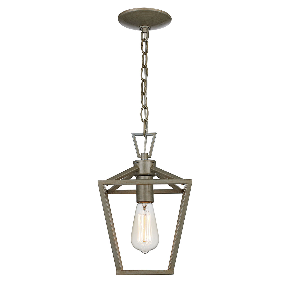Trans Globe Lighting 10264-1 ASL Lacey pendant light in Antique Silver Leaf