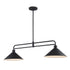 Trans Globe Lighting 11763 BK Roscoe 2 Light Black island pendant angle view